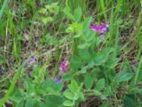 100_1705.jpg